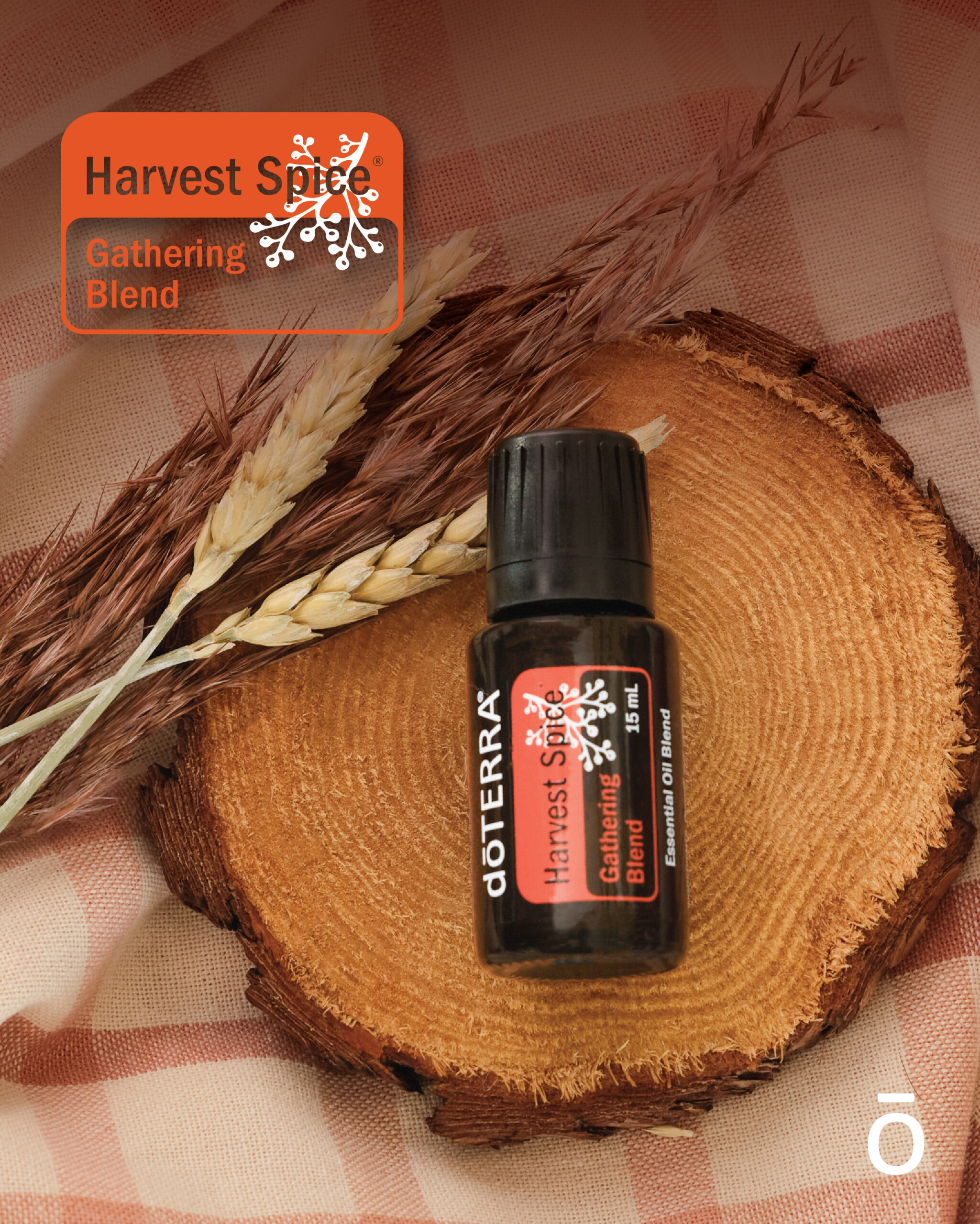 Harvest Spice 15 mL Gathering Blend