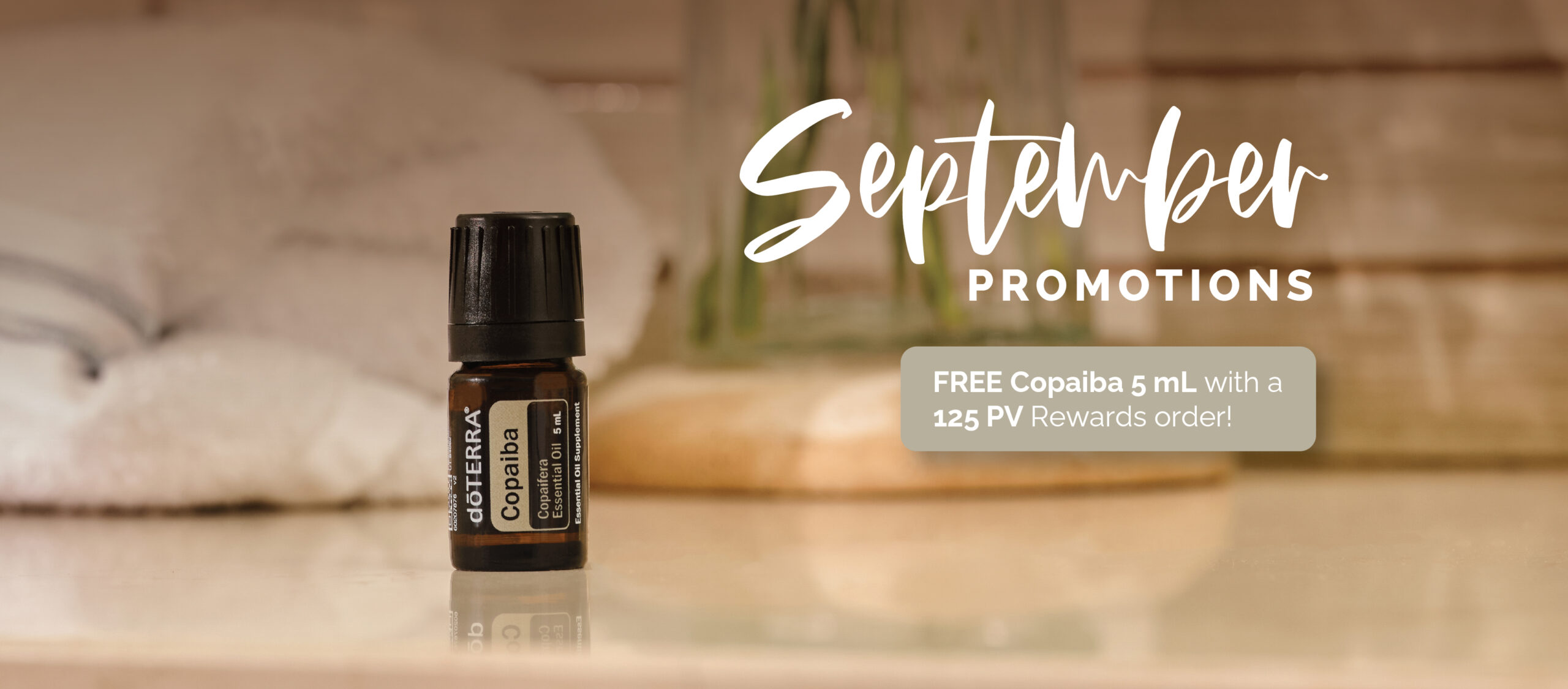 September Monthly Promos