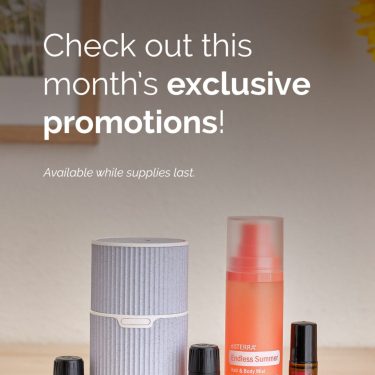 June 2026-Promotion-Social Media-US-English-Instagram-Story-1